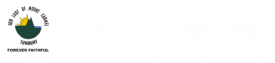 Our Lady of Mt Carmel Primary School
